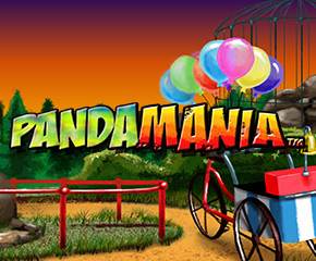 Pandamania