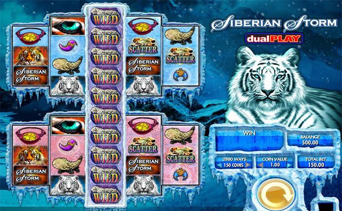 Siberian Storm Dual Play