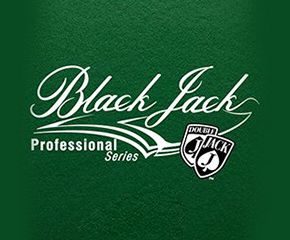 Blackjack Professional