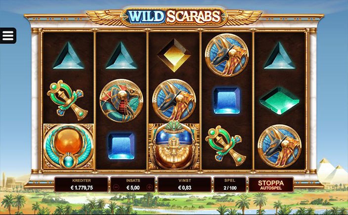 Wild Scarabs