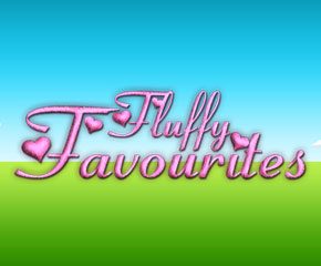 Fluffy Favourites