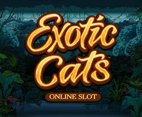 Exotic Cats