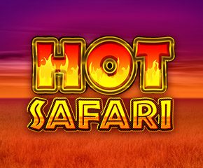 Hot Safari