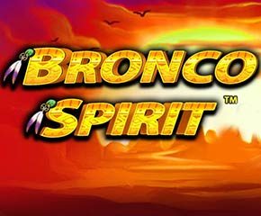 Bronco Spirit