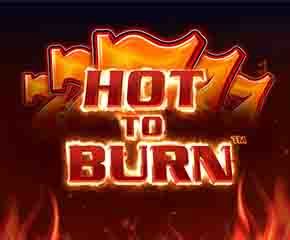 Hot to Burn