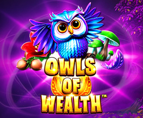 Owls of Wealth